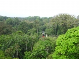 NASA GEDI Flights in La Selva Costa Rica